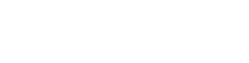 ELANG55